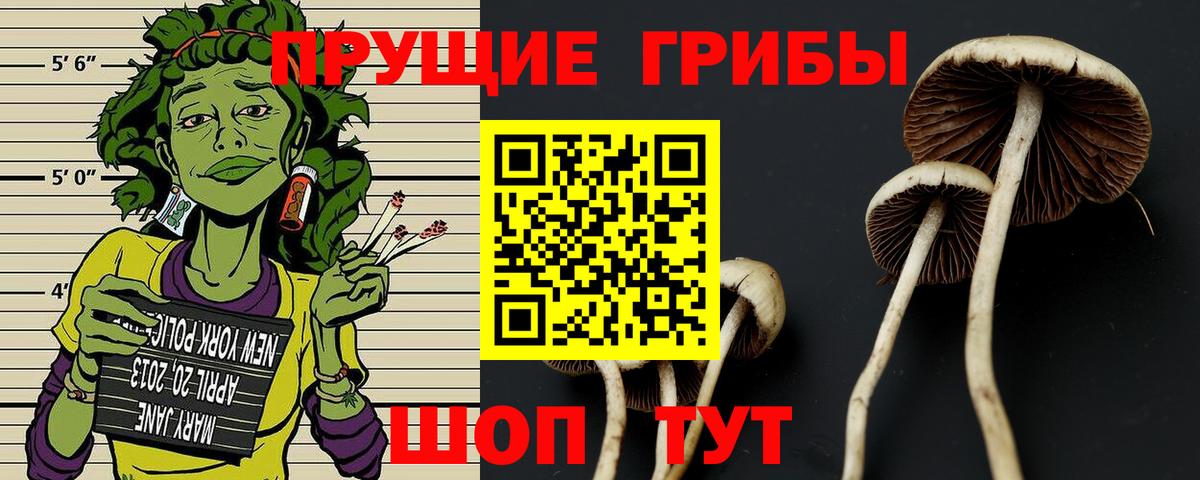 Луга  купить наркотики цена  Вход с VPN  Псилоцибиновые грибы ЛСД 