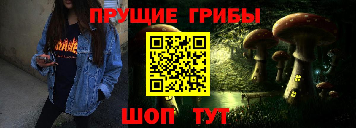 Псилоцибиновые грибы мицелий Луга